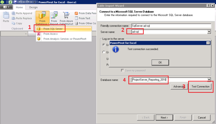 pic 5 powerpivot from sql