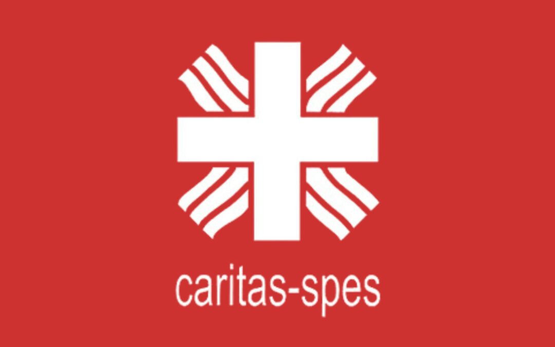 About the implementation of LEO PPM and Microsoft IT Solutions for Caritas-Spes