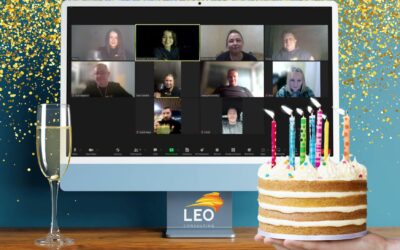 LEO Consulting 14 років!