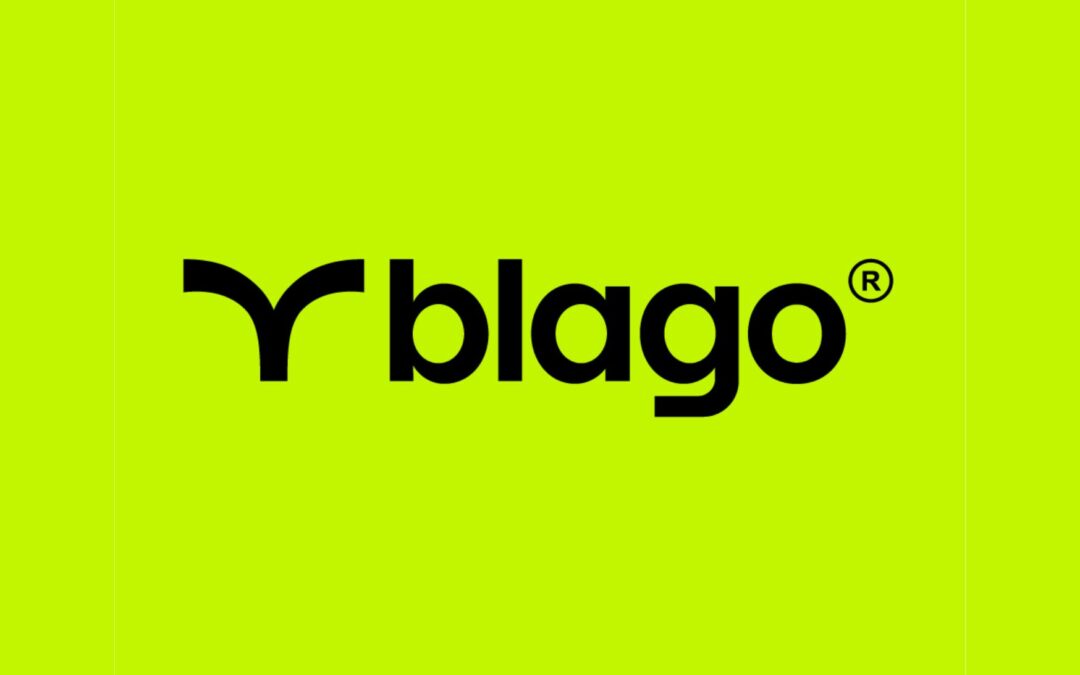 About the implementation of Microsoft Project and Power BI for Urban tech company blago