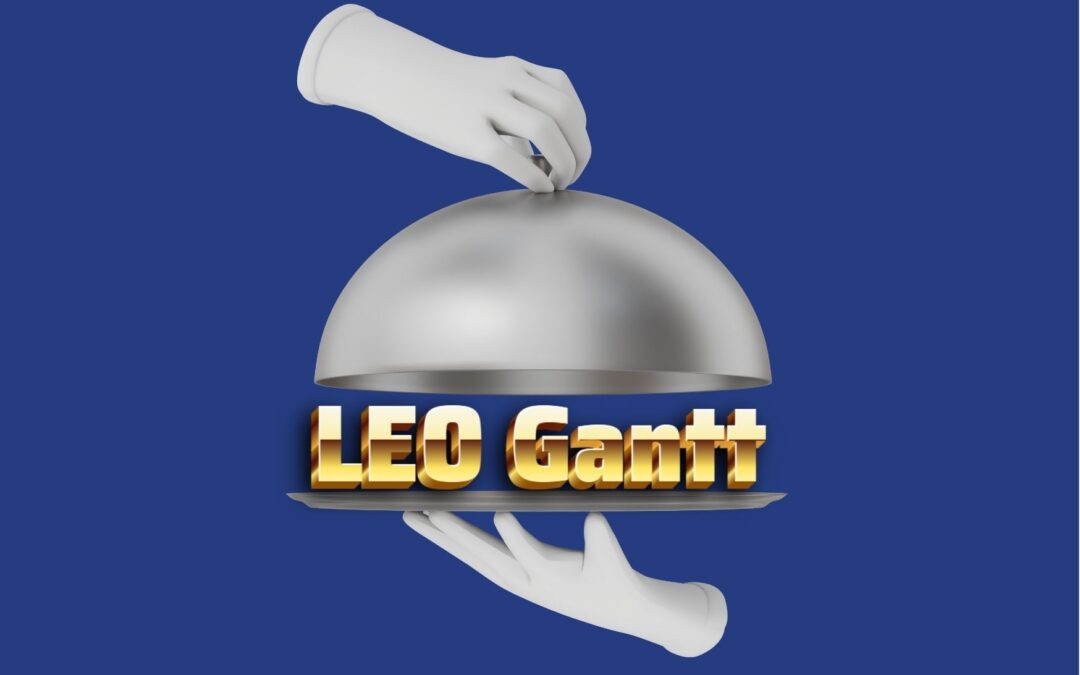 LEO Gantt: A Scheduling Engine Built from Real Project Experience