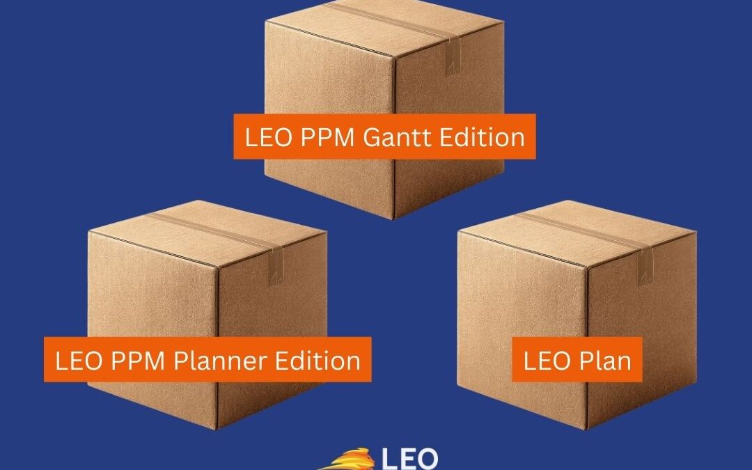 LEO PPM Versions: One Platform, Three Ways to Use It