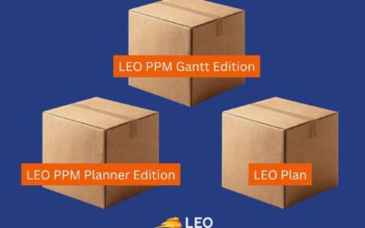 LEO PPM Versions: One Platform, Three Ways to Use It