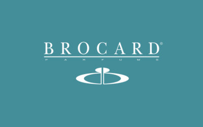 LEO PPM Gantt Edition implementation for BROCARD Ukraine
