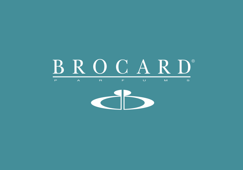 LEO PPM Gantt Edition implementation for BROCARD Ukraine